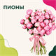 Пионы