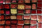Розы Эквадор оптом в Перми: длина, цена за стебель, коробка