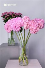 Классические и экзотические цветы в Перми
