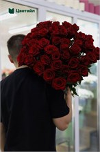 Розы Эквадор премиального качества от 220 ₽