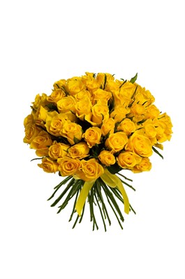 Букет из 51 желтой розы (Кения) 40 см с лентой 2552