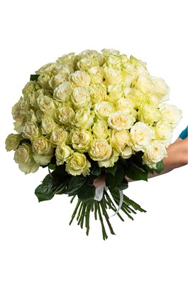 Букет из 51 белой розы (Эквадор) 50 см 
