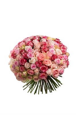Букет из 51 розы (Эквадор) 60 см 