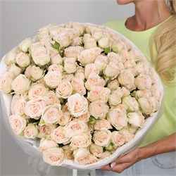 35 кремовых кустовых роз Софи 6056
