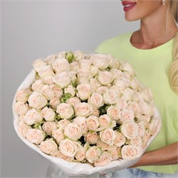 25 кремовых кустовых роз Софи 6057