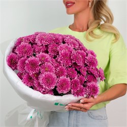 Букет Фиолетовых хризантем Фабиен 15 шт 6072