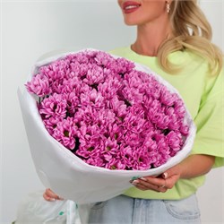 Букет Розовых кустовых хризантем Софтон 15 шт 2420_CF30B