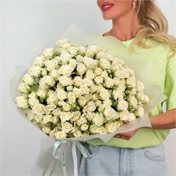 51 белая кустовая роза Сноуфлэйк 2542