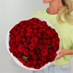 101 красная роза 40 см 2545