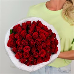 51 красная роза 40 см 2549