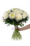 Букет Белых одноголовых хризантем Магнум 25 шт 2448_F058B