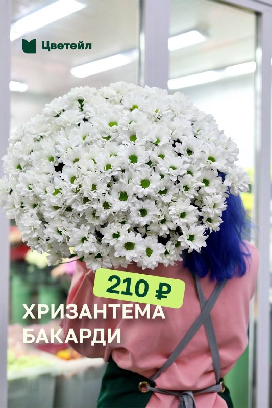 Кустовая хризантема: букет, который радует дольше — фото 1
