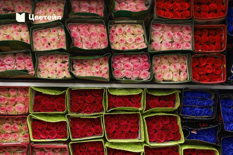 Свежие цветы из семи стран: поставка 8 октября — фото 2