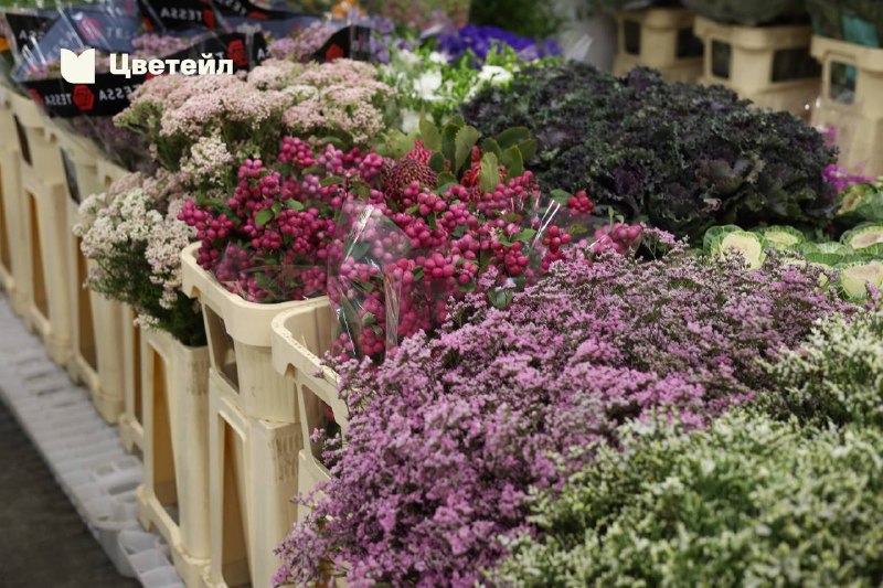 Свежие цветы из семи стран: поставка 8 октября — фото 5
