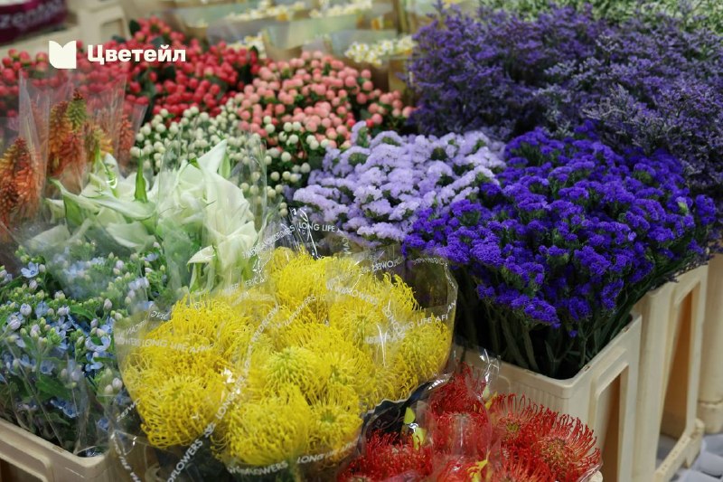 Свежие цветы из семи стран: поставка 8 октября — фото 3